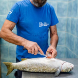 Sardinian Caviar: The Art of Bottarga Making