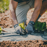 Farm-to-Wellness in the Secret Gardens of Health