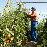 Farm-to-Wellness in the Secret Gardens of Health