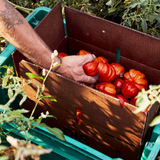 Farm-to-Wellness in the Secret Gardens of Health