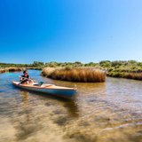 Marine Biology Expedition & Gourmet Dining at Laguna di Nora