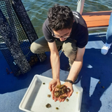 Marine Biology Expedition & Gourmet Dining at Laguna di Nora