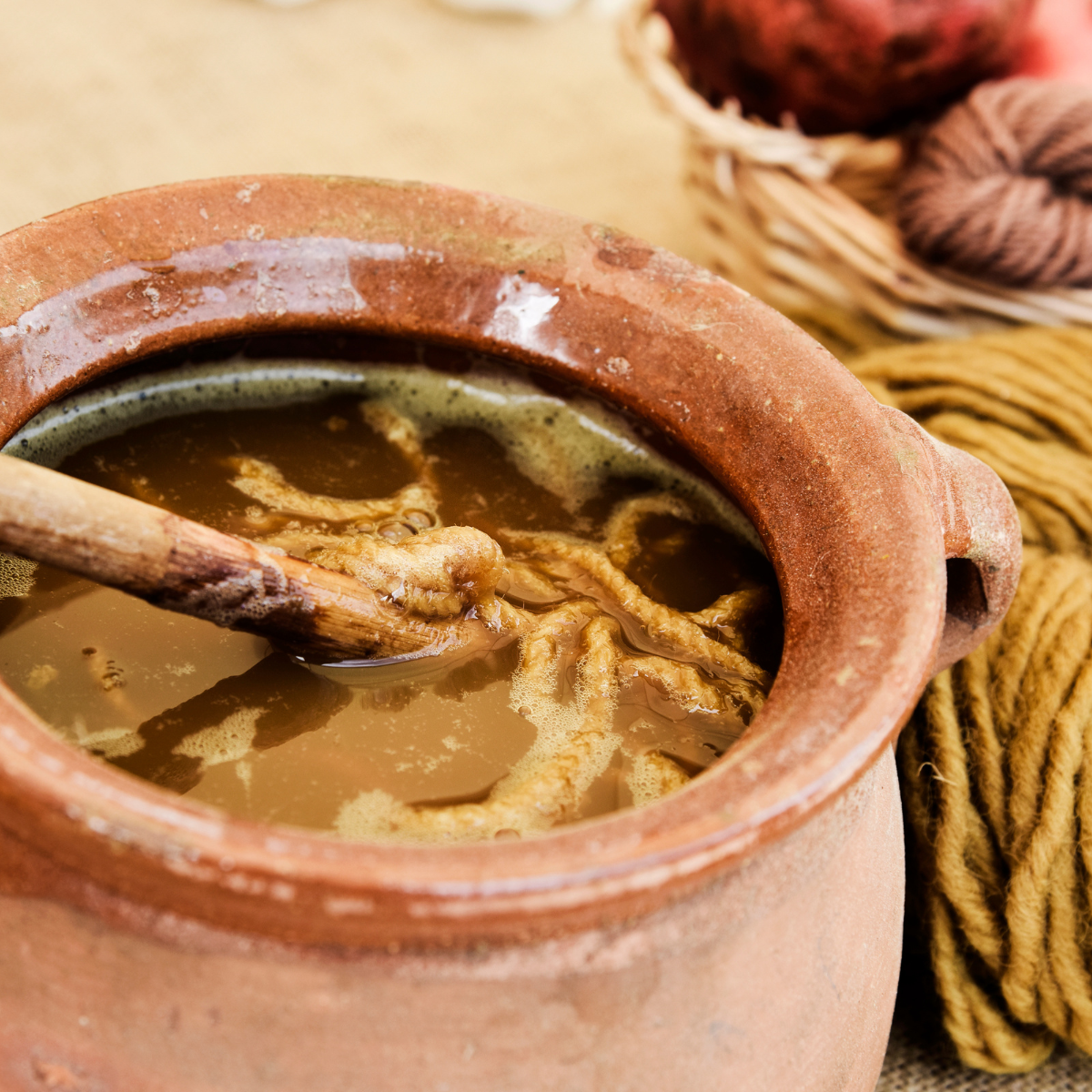 Natural Dyeing with Colors of the Earth