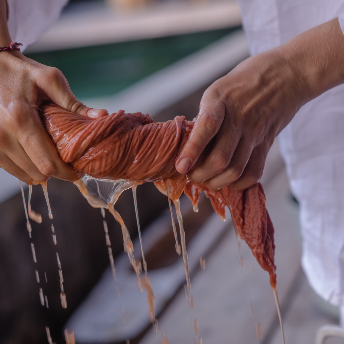 Natural Dyeing with Colors of the Earth