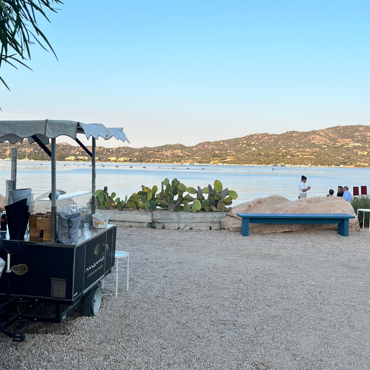 Sunset Oyster Tasting on the Beach at Mamér Cugnana