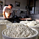 Making Cheese with Local Shepherd