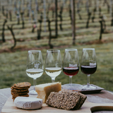 Exclusive Vineyard Exploration with Open Air Dinner