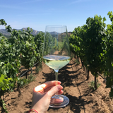 Exclusive Vineyard Exploration with Open Air Dinner